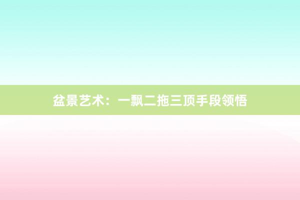 盆景艺术：一飘二拖三顶手段领悟