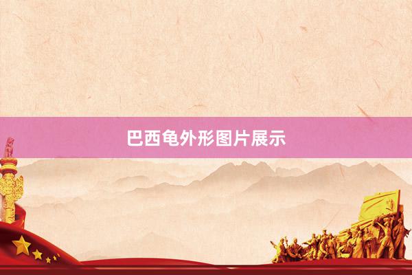 巴西龟外形图片展示